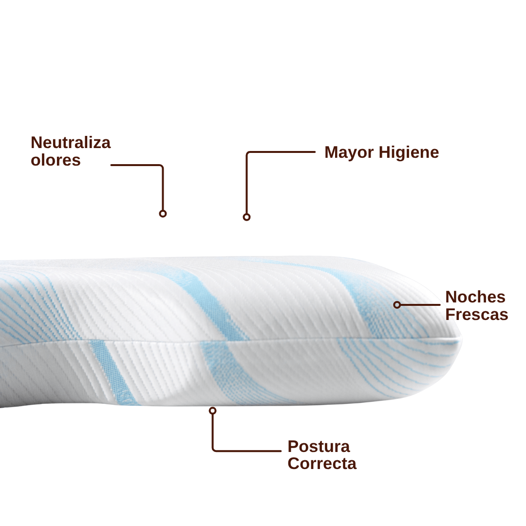 Moving Dreamers: Despierta renovado, duerme alineado - Dezzen