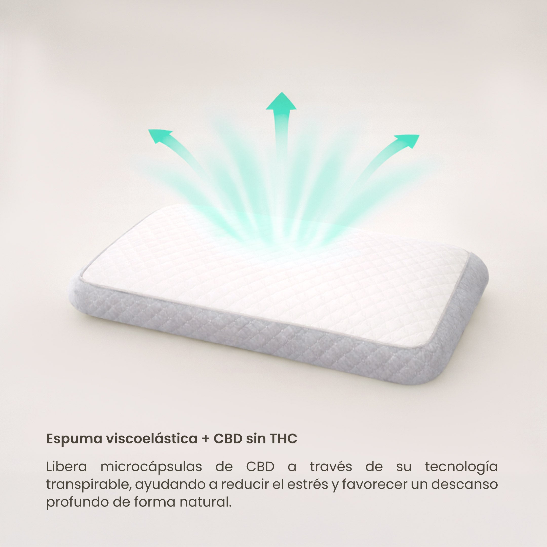 Relaxing: Alivia el estrés, mejora tu sueño. 2x1 - Dezzen